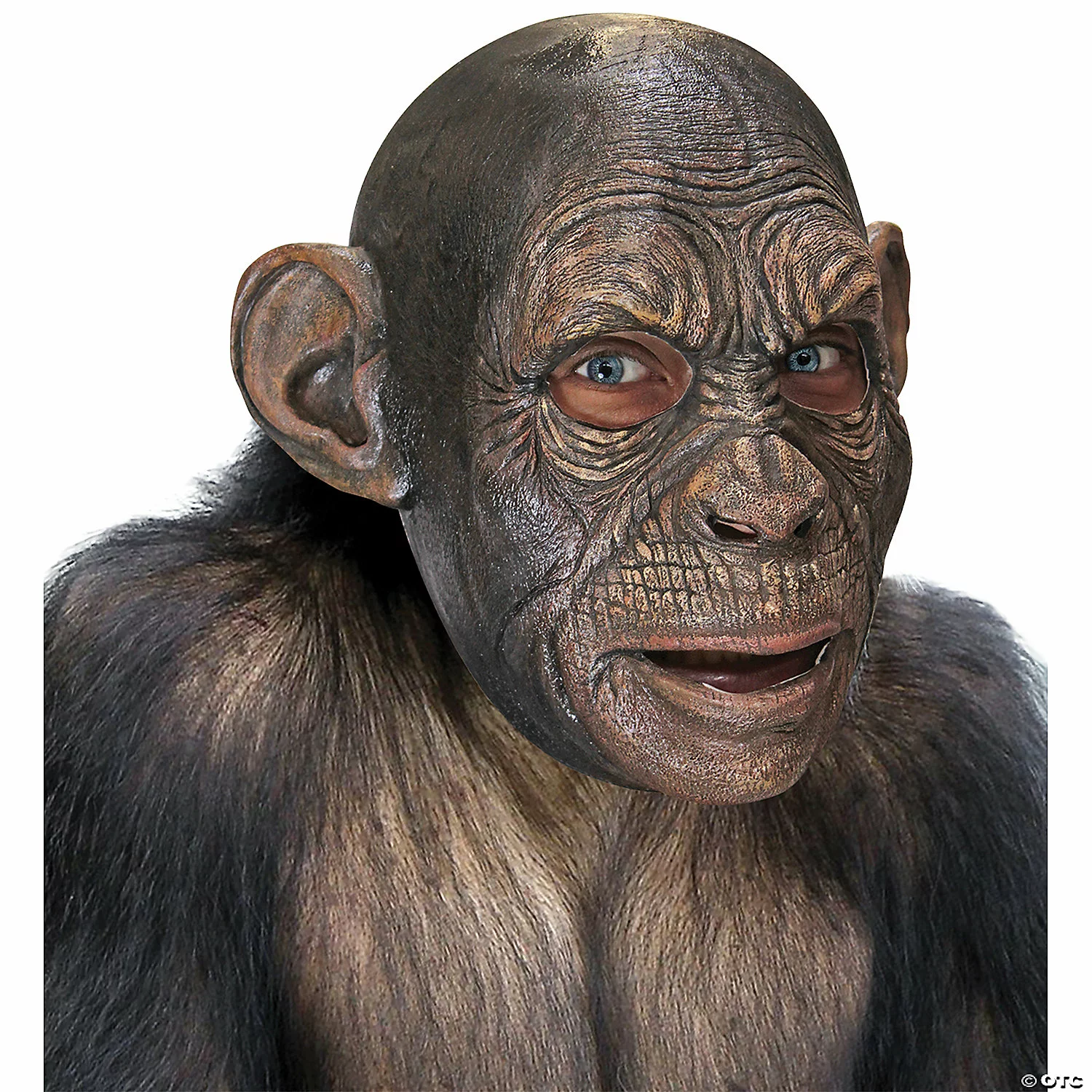 Adult Blake Ape Mask 3 Adult Blake Ape Mask