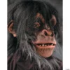 Adult's Chimp Mask 2 Adult's Chimp Mask -Halloweenexpress Winkel adults chimp mask6001bs