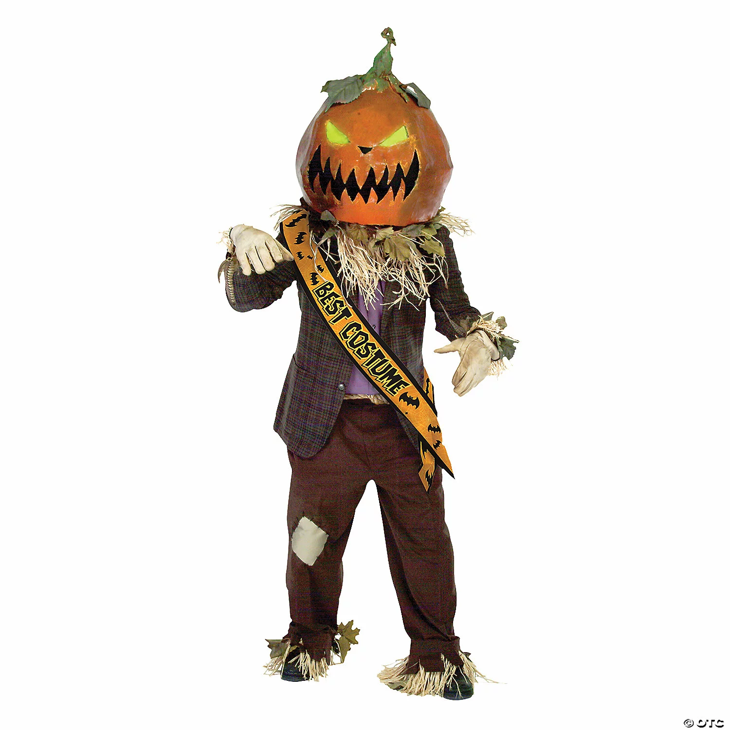 Best Costume Satin Sash 3 Best Costume Satin Sash