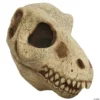 T-Rex Skull Mask 2 T-Rex Skull Mask -Halloweenexpress Winkel t rex skull masktb26803
