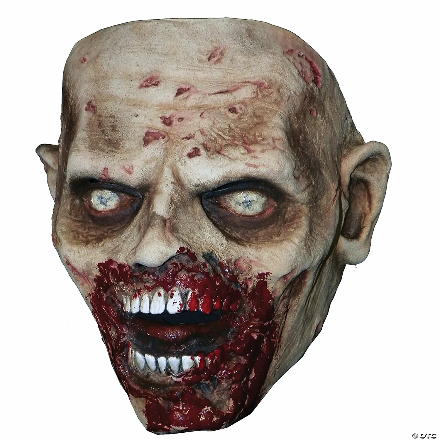 The Walking Dead Biter Walker Mask 4 The Walking Dead Biter Walker Mask - Afbeelding 2